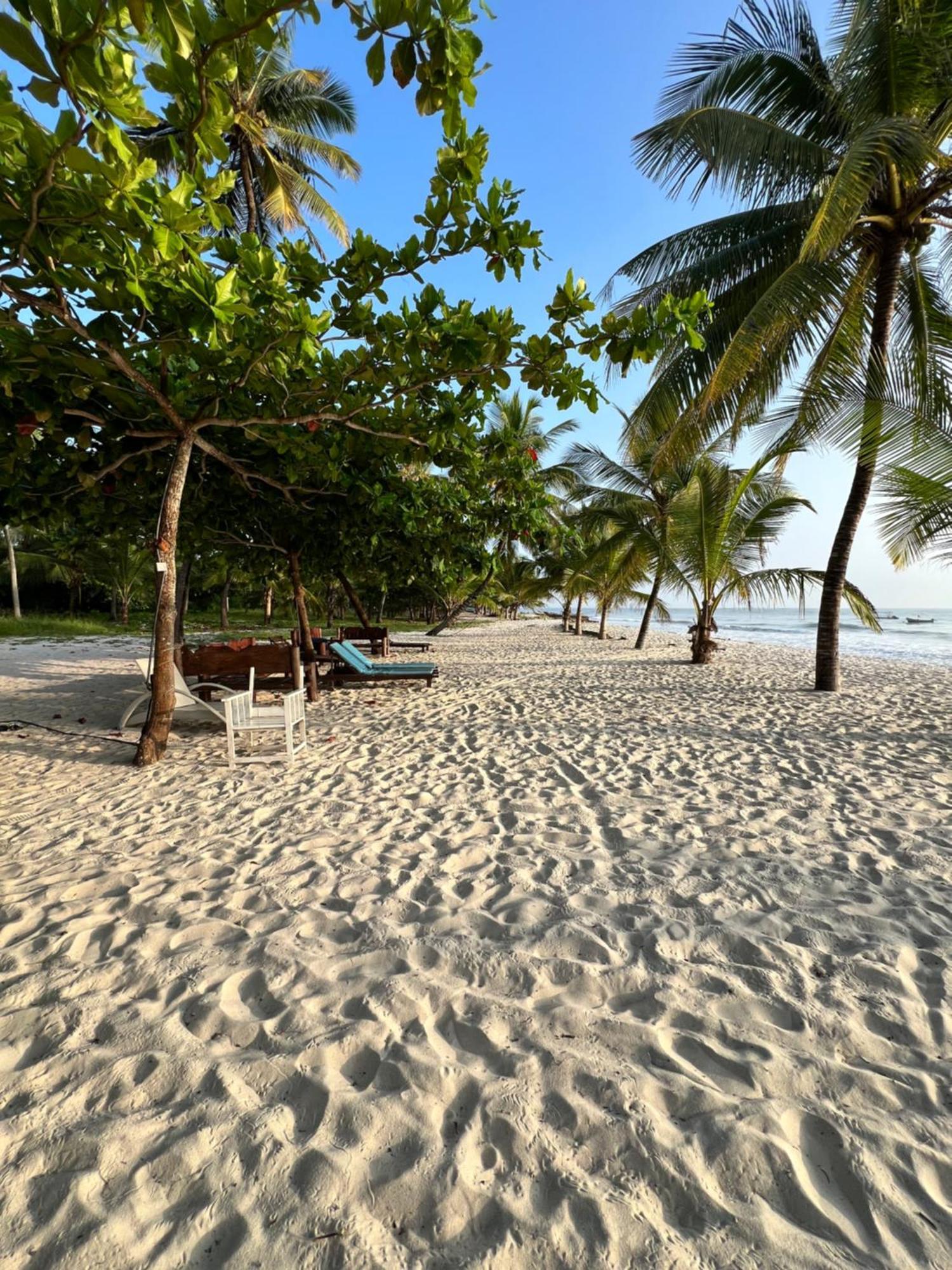 Waves And Wanderlust-Diani Beach Eksteriør bilde