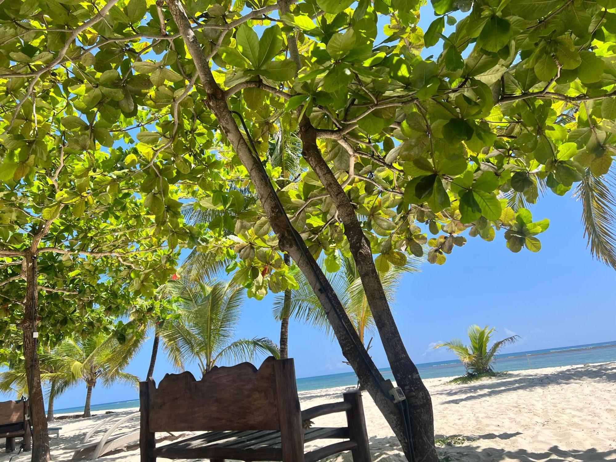 Waves And Wanderlust-Diani Beach Eksteriør bilde